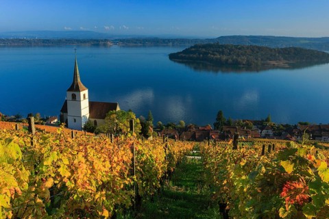 Ligerz on Lake Biel, Bern, Switzerland, Europe
