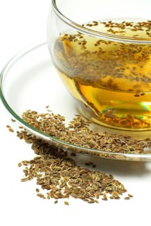Cup of Dillseed tea (Anethum graveolens)