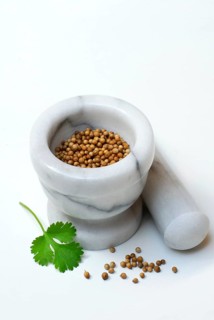 Corianderseed (Coriandrum sativum), mortar