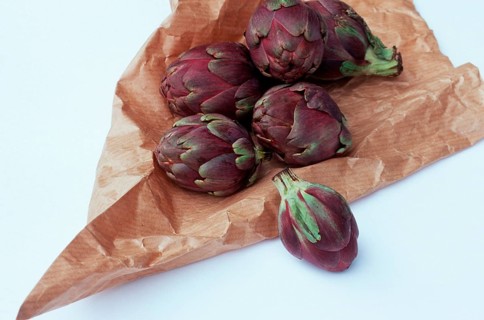 Globe Artichoke (Cynara scolymus)