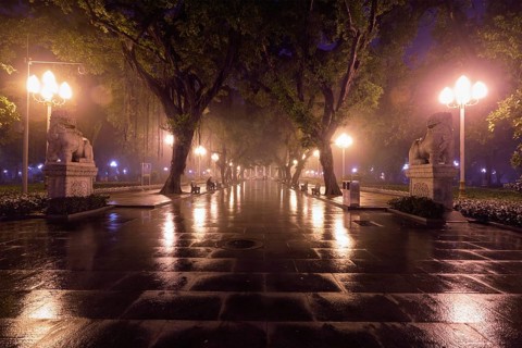 Guangzhou People's Park with mist fog at night. Guangzhou, China, Asia