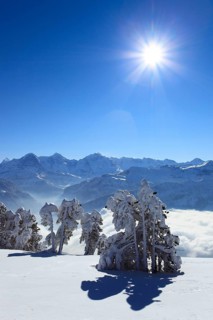 Bernese Alps, View from the Niederhorn, Bernese Oberland, Switzerland, Europe