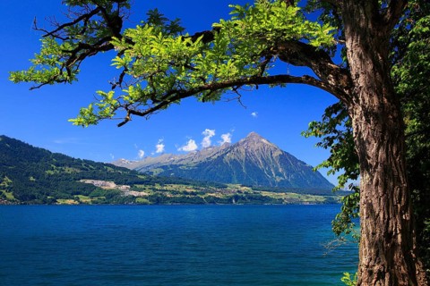 Lake Thun, Niesen, 2362 m, view from Beatenbucht, Bernese Oberland, Switzerland, Europe