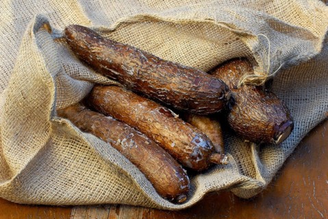 Cassavaroots, roots (Manihot esculenta)
