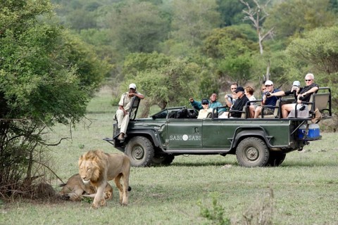 Tourists in safari jeep and African lions (Panthera leo), Kruger National Park, South Africa nian