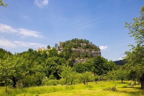 Oybin Castle and Monastery Ruins