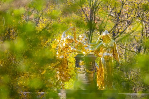 Bürgerwiese and Blüherpark, Mozart Fountain