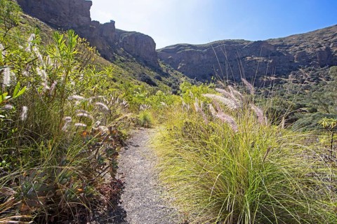 Camino Real or King's Path in the Caldera de Bandama in the Bandama Natural Park or Monumento