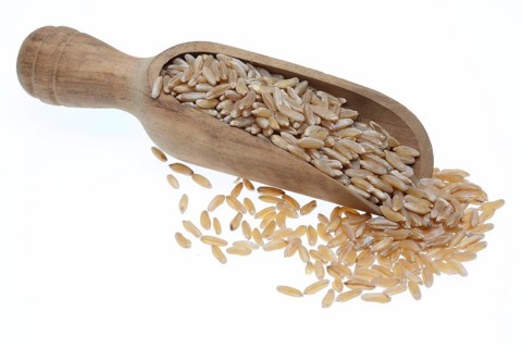 Khorasan wheat (Triticum turgidum × polonicum), also called kamut, is an old variety of spring