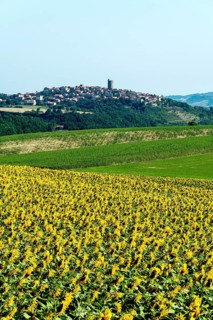 Village of Montpeyroux labelled Les Plus Beaux Villages de France, Puy de Dome,