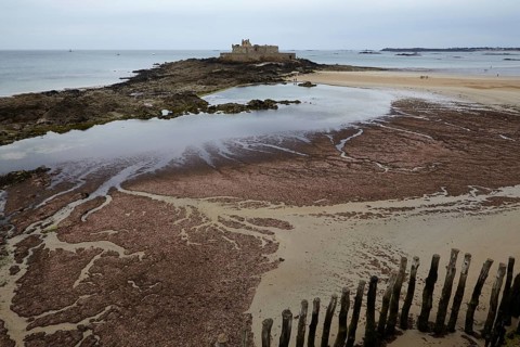 Fort National with mudflats at low tide on a tidal island off Saint-Malo, Ille-et-Vilaine,