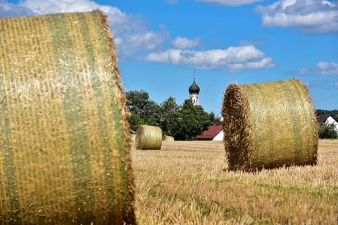 Straw bales on a harvested grain field, in the background the village church with onion tower,