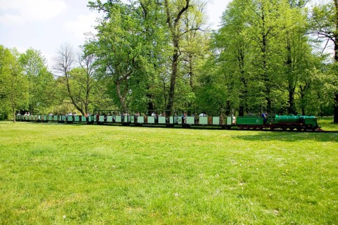 Large garden park railway