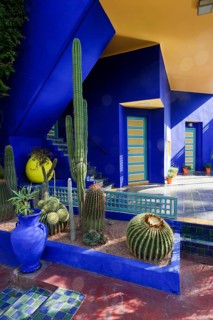 Morocco, Jardin Majorelle Botanical Garden in Marrakech, Africa