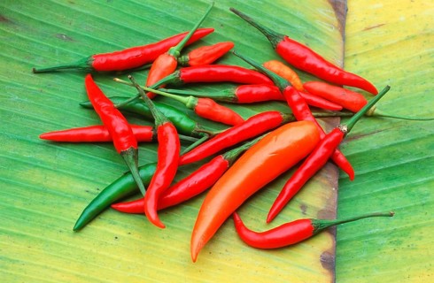Peppers, chili pepper, chili pepper, chili pepper