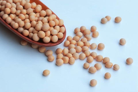 Soya beans, soya bean