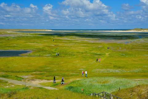 Nature reserve De Slufter, view from lookout dune, island Texel, North Sea, North Holland,