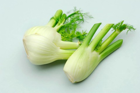 Florence Fennel (Foeniculum vulgare var. azoricum)