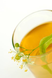 Glass of lime blossom tea, summer linden, large-leaved linden (Tilia platyphyllos) lime blossom tea