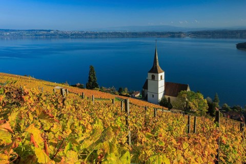 Ligerz on Lake Biel, Bern, Switzerland, Europe