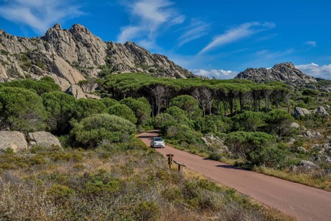 Mountain landscape with pine, car on road, Caprera island, Olbia-Tempio Province, Sardinia, Italy,
