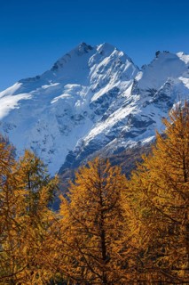 Piz Bernina, 4049 m, Bianco ridge, Upper Engadine, Grisons, Switzerland, Europe