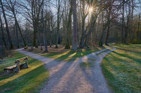 Public park with forked path and sun in spring, Amorbach, Odenwald, Bavaria, Germany, Europe