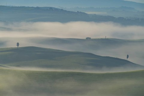Landscape at sunrise around Volterra, province of Pisa, Tuscany, Italy, Europe