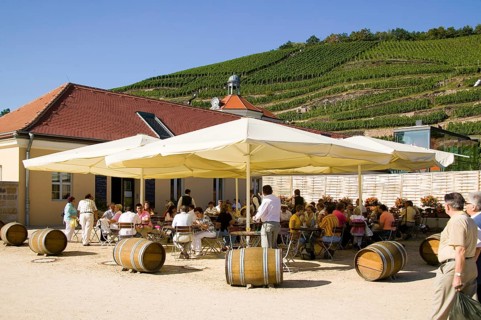 Schloss Wackerbarth or Wackerbarths Ruh' is a baroque castle surrounded by vineyards in the