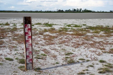 Measuring rod and heavily dried out Darscho or Warmsee, Lake Neusiedl-Seewinkel National Park,