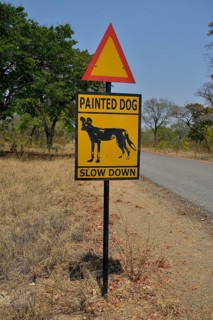 Warning Sign Painted dog, Attention African Wild Dogs, Hwange National Park, near Hwange,