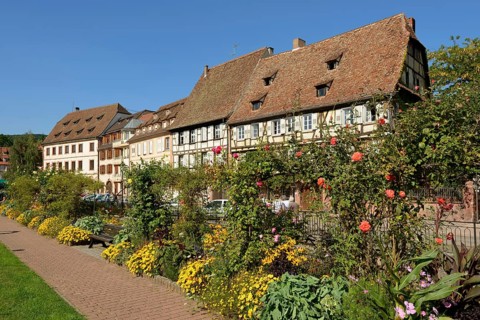 Old town, half-timbered houses, Wissembourg, Alsace, Weissenburg, France, Europe