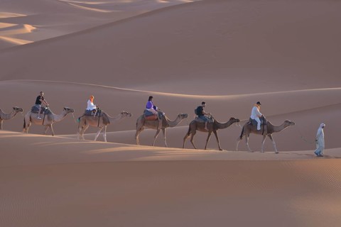 Tourists riding camels in the dunes, Sahara, Merzouga, Meknès-Tafilalet region, Morocco, Africa