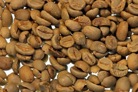 Raw, coffee tree (Coffea), coffee beans, coffee bean