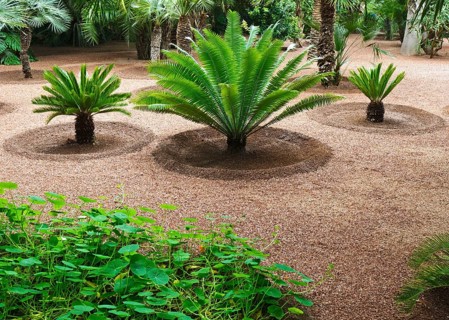 Morocco, Jardin Majorelle Botanical Garden in Marrakech, Africa