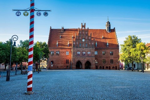 Maypole in front of Jüterbog town hall, Brandenburg, Germany, Europe