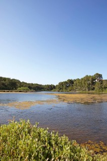 S'Albufera des Grau nature Park, Menorca