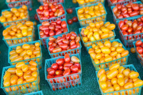 Freshly picked selection of organic tomatoes on display at the farmers market