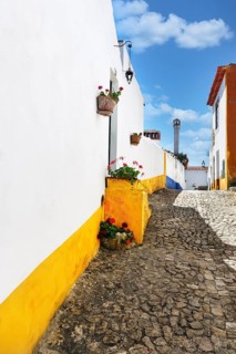 Typical colourful alley in the medieval village of Óbidos, Portugal, Europe
