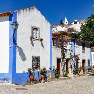 Typical houses in the medieval village, painted blue and white, Óbidos, Portugal, Europe