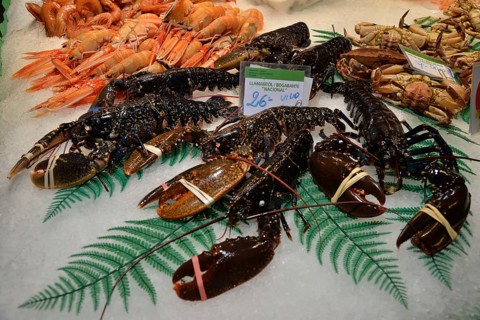 European lobsters at a fish stall in the market hall, Mercat de la Boquería, also Mercat de Sant