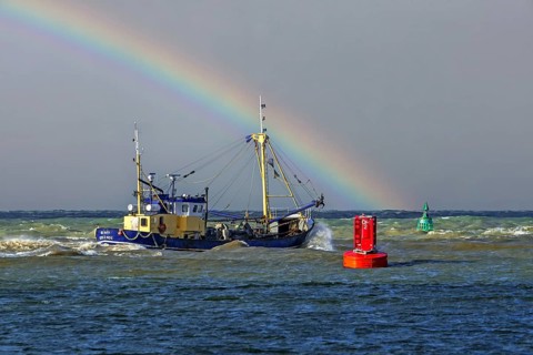 Shrimp cutter 0. 191 Romy leaving the Ostend port to go bottom trawling for shrimps along the North