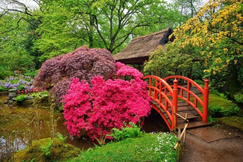 Small bridge in Japanese garden, Park Clingendael, The Hague, Netherlands