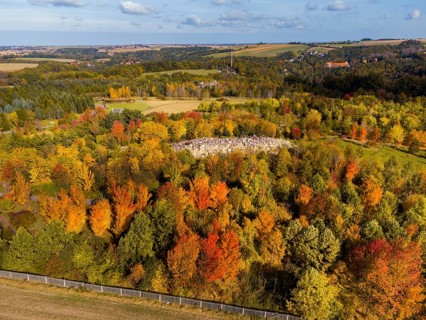 The Forest Botanical Garden Tharandt is an institution of the Technical University of Dresden and