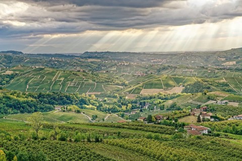 Wine hills near Diano d'Alba, Barolo region, Langhe, Piedmont, Italy, UNESCO World Heritage Site,