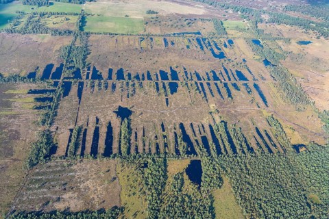 Aerial view Pietzmoor, moor, wetland, peat, former peat cutting, hiking trail, moor trail, water,