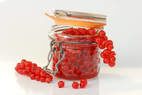 Redcurrants (Ribes rubrum) in a jar