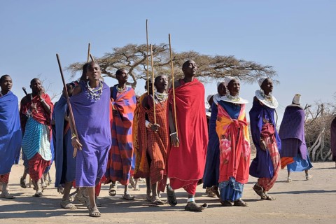 Maasai men dancing, Ngorongoro Conservation Area, Ndema, Tanzania, Africa