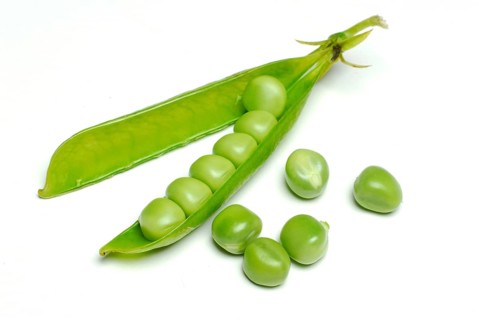 Peas in the pod Pea (Pisum sativum) pea, pea pod