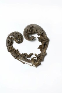 Heart, formed from dried leaves of Common Teasel ((Dipsacus sylvestris) Dipsacus silvester)